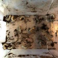 15位のイメージ