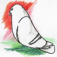 16位のイメージ