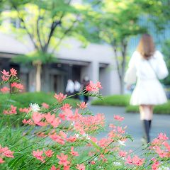 118位のイメージ