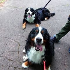 13位のイメージ