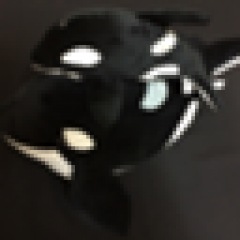 35位のイメージ