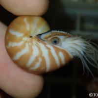 71位のイメージ