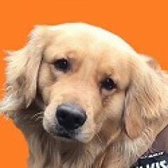 36位のイメージ