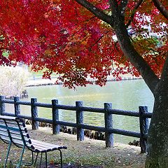 14位のイメージ