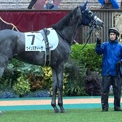 11位のイメージ