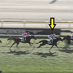 14位のイメージ