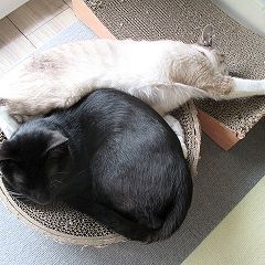 132位のイメージ