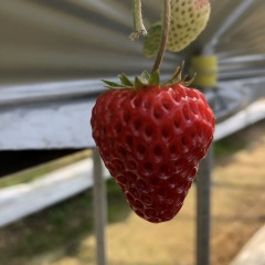 105位のイメージ