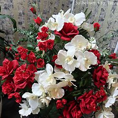 20位のイメージ