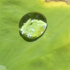 49位のイメージ