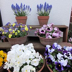 148位のイメージ