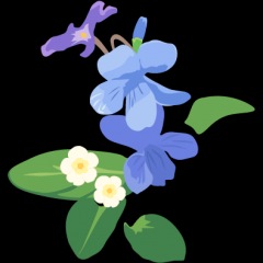 114位のイメージ