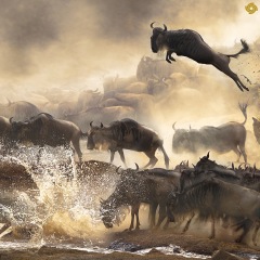 29位のイメージ