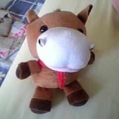 29位のイメージ