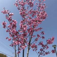 37761位のイメージ