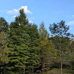 156位のイメージ