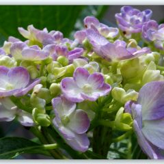 80位のイメージ