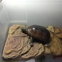 20位のイメージ