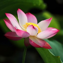 90位のイメージ