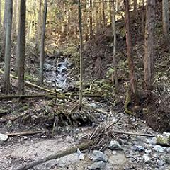 25位のイメージ