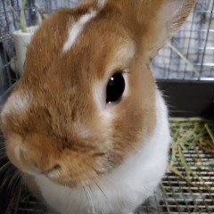 24位のイメージ