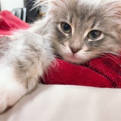 14位のイメージ