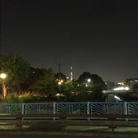 35位のイメージ