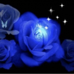 163位のイメージ