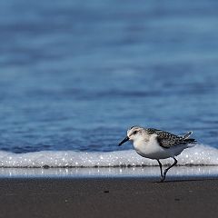 62位のイメージ