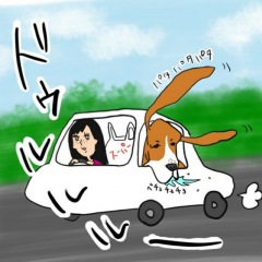 135位のイメージ