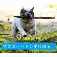 131位のイメージ