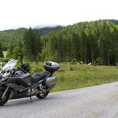 11位のイメージ