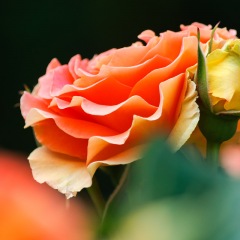 123位のイメージ