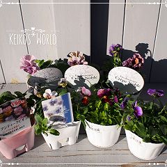 80位のイメージ