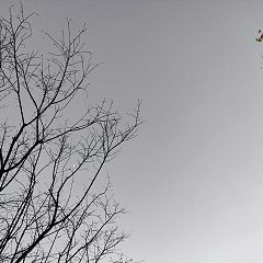 52位のイメージ