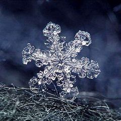 235位のイメージ