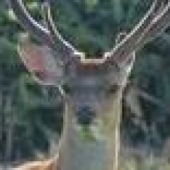 111位のイメージ