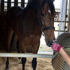 81位のイメージ