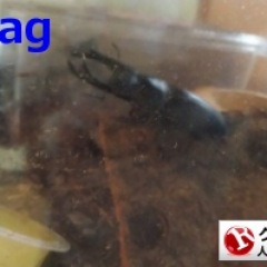 16位のイメージ