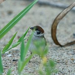 87位のイメージ