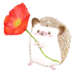 34位のイメージ