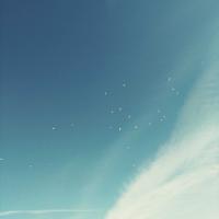 68位のイメージ