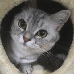 93位のイメージ