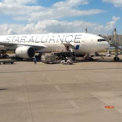 317位のイメージ