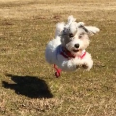 29位のイメージ