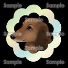 18位のイメージ