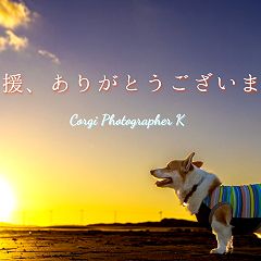 29位のイメージ