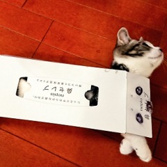 28位のイメージ