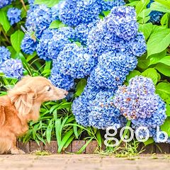 98位のイメージ