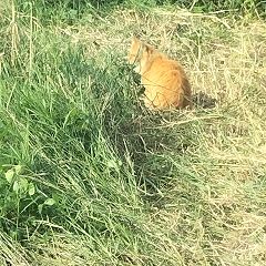 29位のイメージ